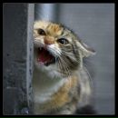 Фотография Мякинькова Лешки