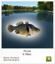 Діма Чейпеш фотография #29 (источник - https://vk.com/id160940576)