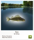 Діма Чейпеш фотография #28 (источник - https://vk.com/id160940576)