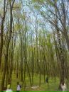Михайло Кадлубіцький фотография #9 (источник - https://vk.com/id162342664)