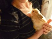 Ленчик Стрельникова фотография #22 (источник - https://vk.com/id529601)