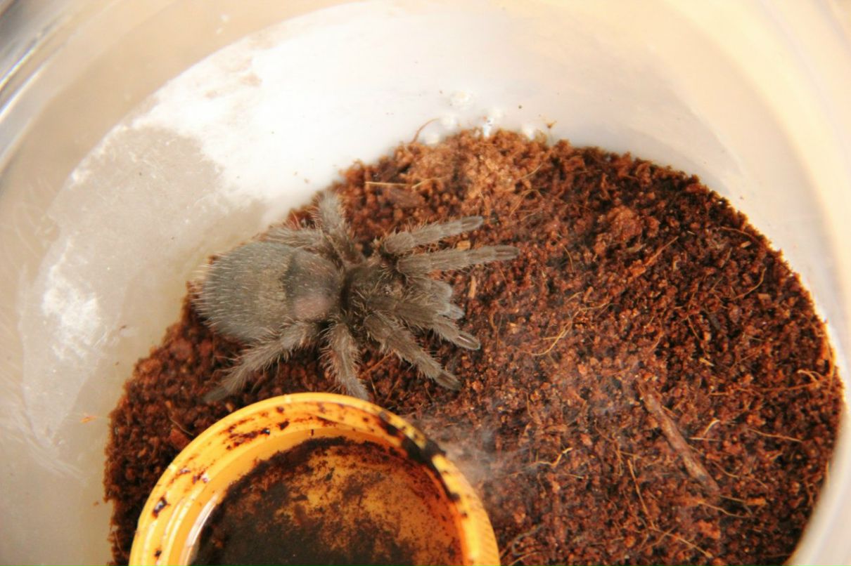 Женя Татировский фотография #15