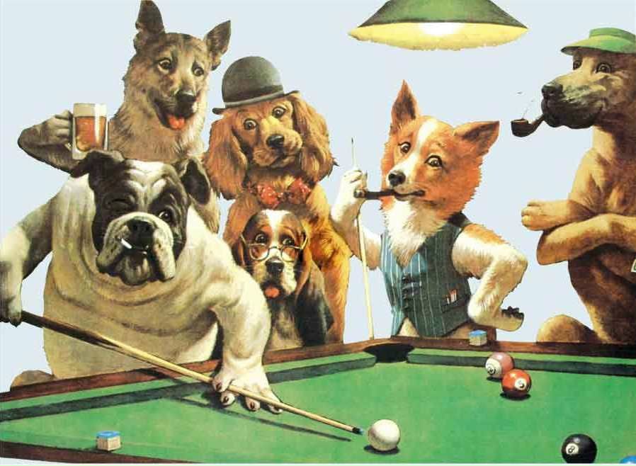 Илья Ильюхин фотография #17