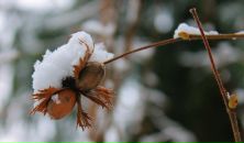 Дарья Базанова фотография #21 (источник - https://vk.com/id8874885)