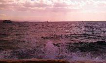 Дмитрий Сметанин фотография #32 (источник - https://vk.com/id474359)