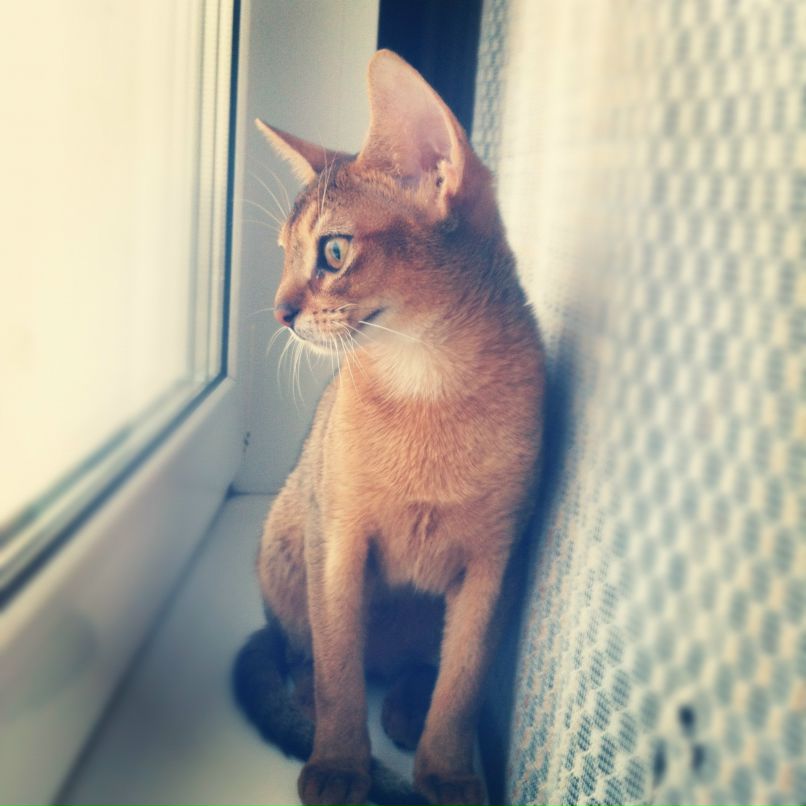 Дмитрий Дмитриев фотография #30