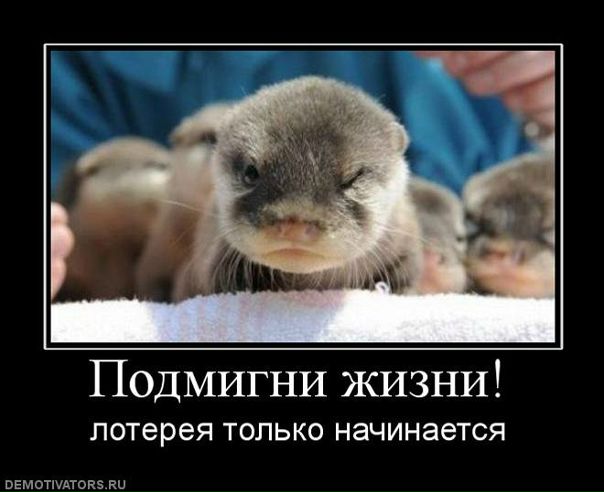 Александр Пенчук фото №16