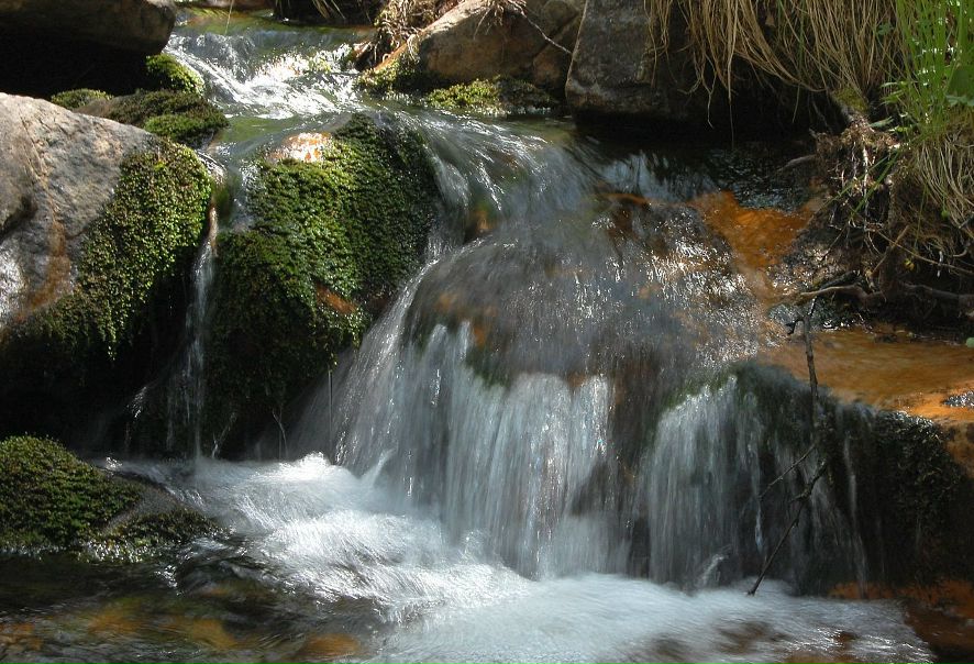 Михаил Яковлев фото №48