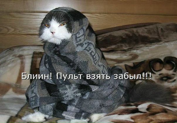 Ksusha Shevchenko фото №43