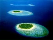 Фотография Барахтянского Кирилла