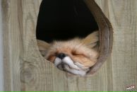 Фотография Гущиной Ольги