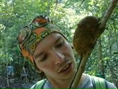 Фотография Апофеоза Дмитрия