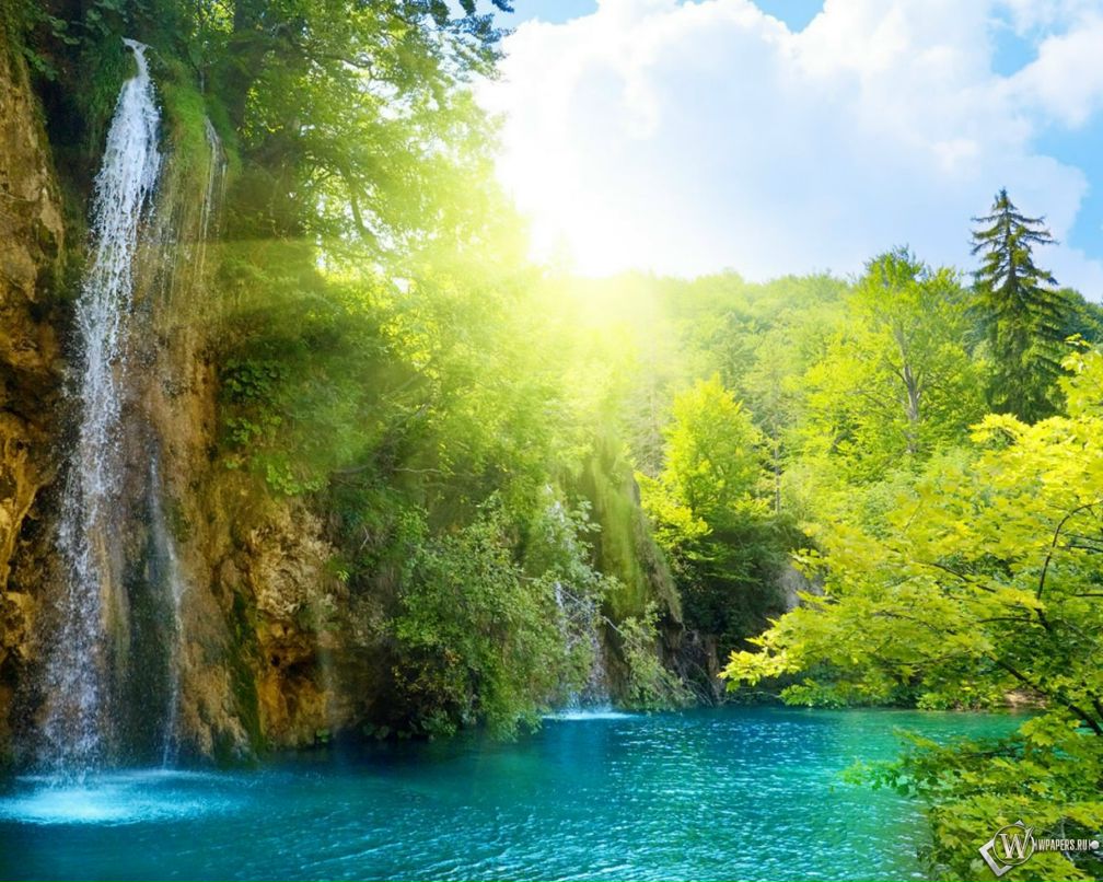 Елена Василенко фотография #28