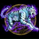 Андрій Чернега фотография #2 (источник - https://vk.com/id116544493)