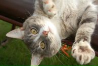 Фотография Кукина Максима