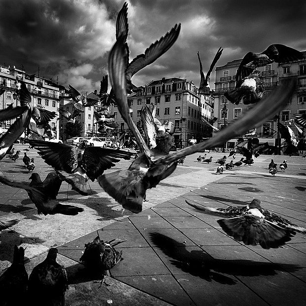 Alexis Anjel фотография #41