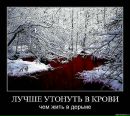 Даниїл Сівак фотография #36 (источник - https://vk.com/id112114676)