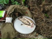 Константин Костин фотография #32 (источник - https://vk.com/id4100683)