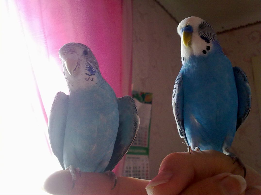 Дмитрий Третьяков фотография #18