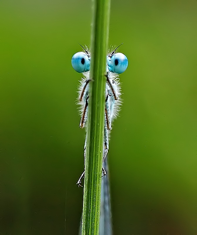 Alex Pavlov фотография #5