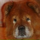 Фотография Lakina Natali