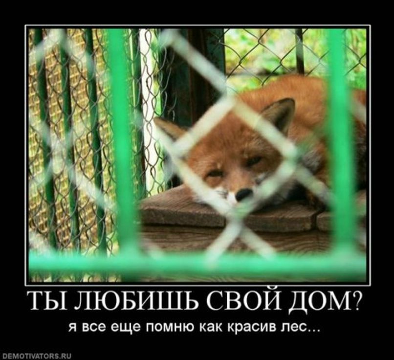 J@ rill фотография #50