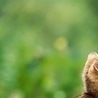 Владуся С(= фотография #7 (источник - https://vk.com/id146923387)