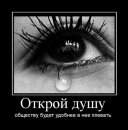 Дмитрий Скрипник фотография #29 (источник - https://vk.com/id10697935)