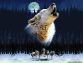 Сергій Іванчук фотография #2 (источник - https://vk.com/id135265434)