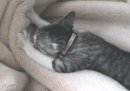 Настьониш Вєтрова фотография #26 (источник - https://vk.com/id54074158)