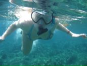 Фотография Корень Алисы