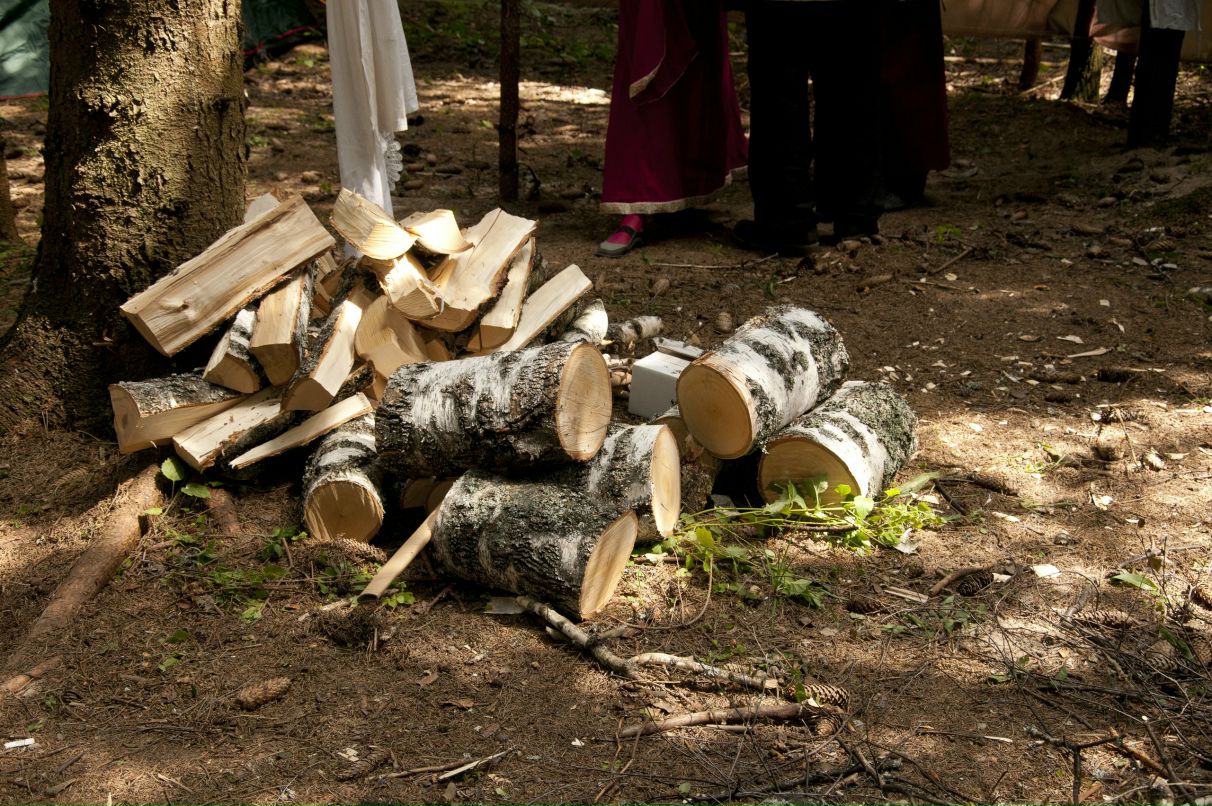 Elendil Vilen фотография #28