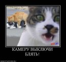 Костянтин Огороднік фотография #43 (источник - https://vk.com/id11103382)