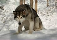 Фотография Муратовой Эльвиры