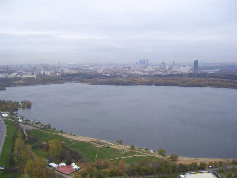 Николай Елисеев фотография #6