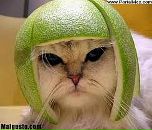 Вікторія Табас фотография #50 (источник - https://vk.com/id76421184)