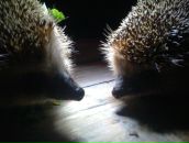 Фотография Самохиной Любашки