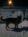 Іван Капець фотография #41 (источник - https://vk.com/id152628700)