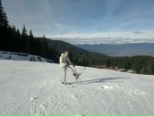 Фотография Миндибаева Вадима