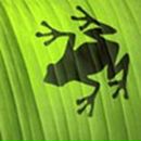 Віталій Плакса фотография #18 (источник - https://vk.com/id22227910)