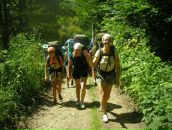 Діана Башта фотография #45 (источник - https://vk.com/id89361436)