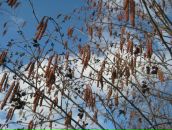 Фотография Хлопиной Натальи