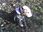 Фотография Сироткиной Ирины