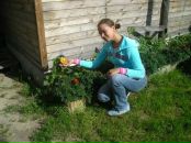 Фотография  