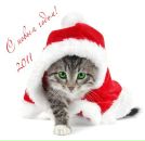 Фотография Шакировой-Пехник Елены