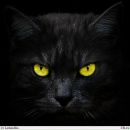 Фотография Степановой Людмилы