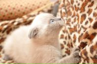 Фотография Семиной Олечки