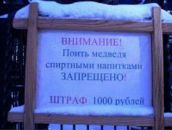 Фотография Медведева Алексея