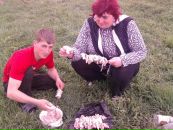 Анатолій Трофимчук фотография #17 (источник - https://vk.com/id136727032)