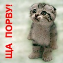 Надія Ванчицька (пацала) фотография #1